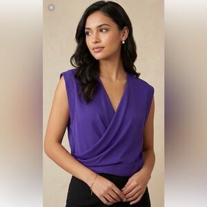 Olivaceous Deep Purple V-Neck Blouse